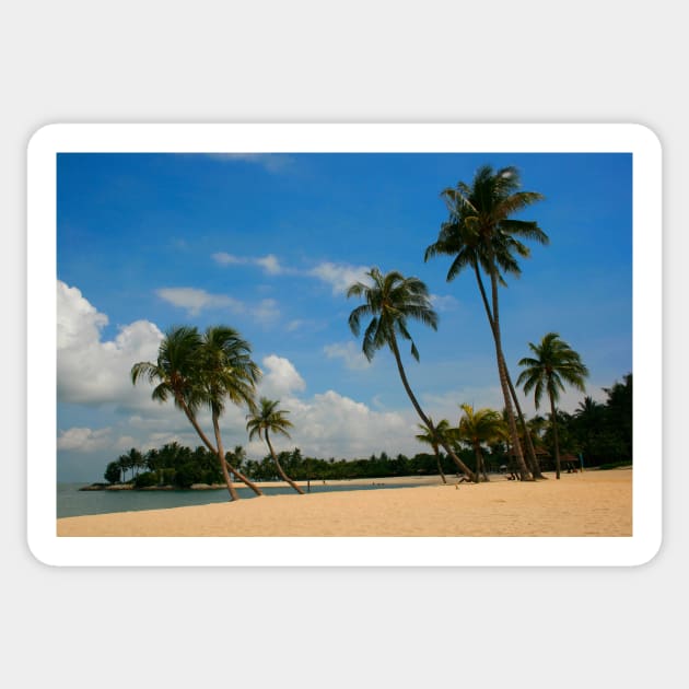 A Palm Covered Beach Sticker by jwwallace